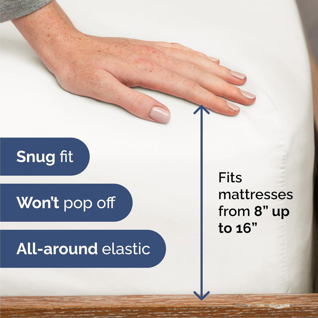 CGK Unlimited 4-Piece Bed Sheet Set Brushed Microfiber